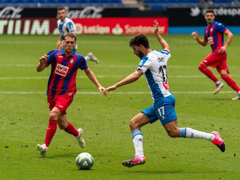 龙8头号玩家介绍